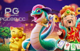 世界杯下单平台网站官网最新版