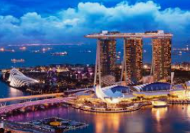 世界杯下单平台网站官网2024最新版